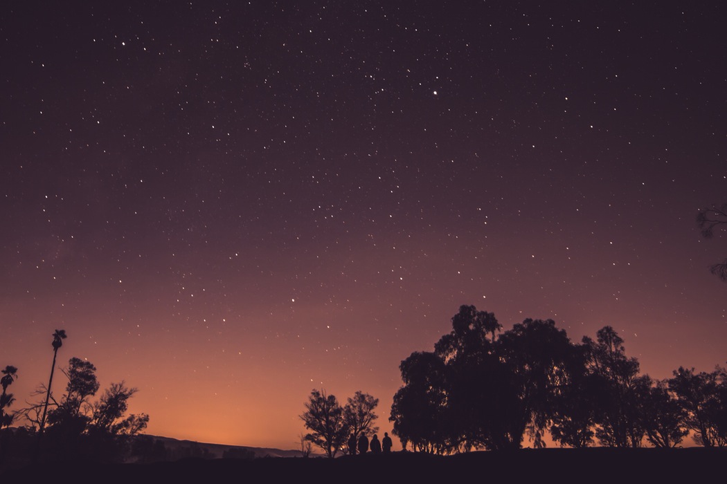 Night sky with forest.